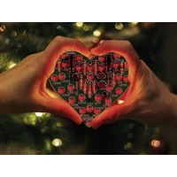 Whadda WSSA101 Blinklicht Bausatz Ausführung (Bausatz/Baustein): Bausatz 9 V/DC Whadda WSSA101 Blinklicht Bausatz Ausführung (Bausatz/Baustein): Bausatz 9 V/DC