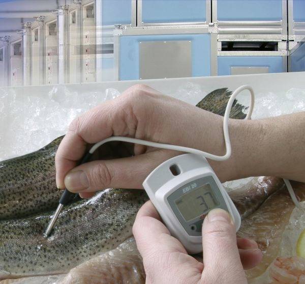 Ebro 1601-0043-Z EBI 20-TE1 Temperatur-Datenlogger Messgröße Temperatur -30 bis 70°C