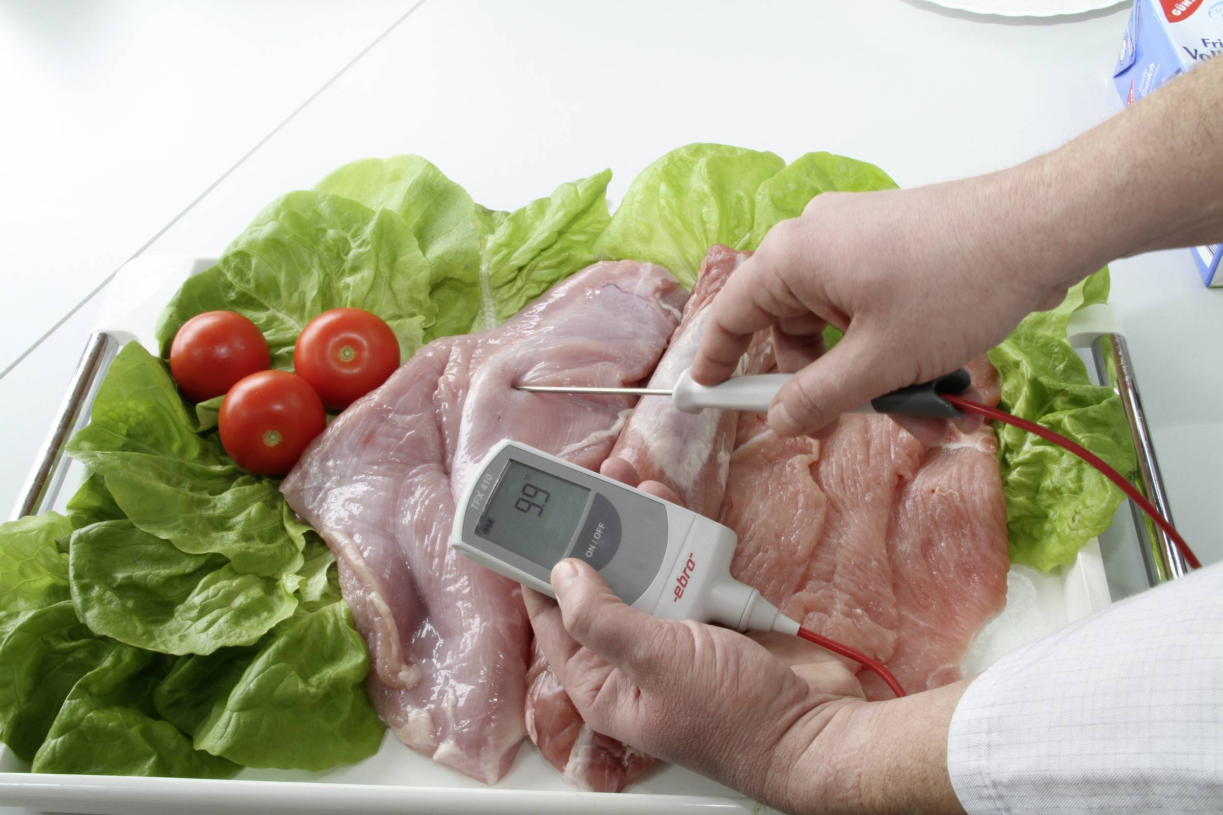 Ebro TFX 410 Einstichthermometer (HACCP) Messbereich Temperatur -50 bis +300°C Fühler-Typ Pt1000 HACCP-konform