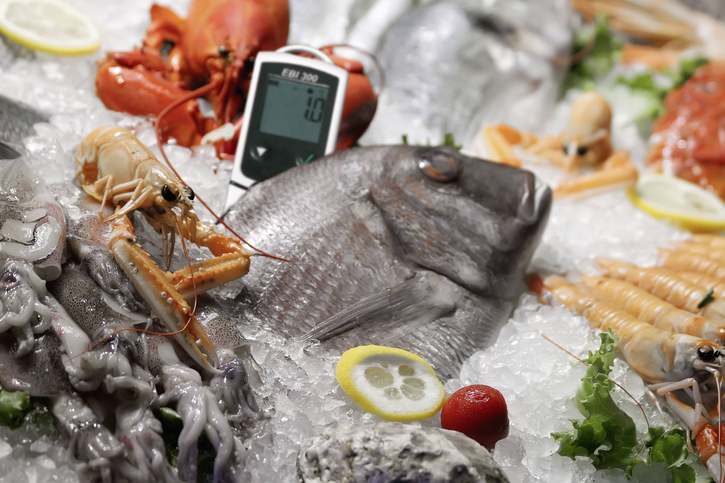 Ebro 1340-6330 EBI 300 Temperatur-Datenlogger Messgröße Temperatur -30 bis 70°C