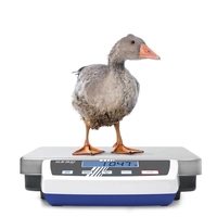 Kern DE 35K5D Paketwaage Wägebereich (max.) 35 kg Ablesbarkeit 5 g, 10 g netzbetrieben, batteriebet Kern DE 35K5D Paketwaage Wägebereich (max.) 35 kg Ablesbarkeit 5 g, 10 g netzbetrieben, batteriebet
