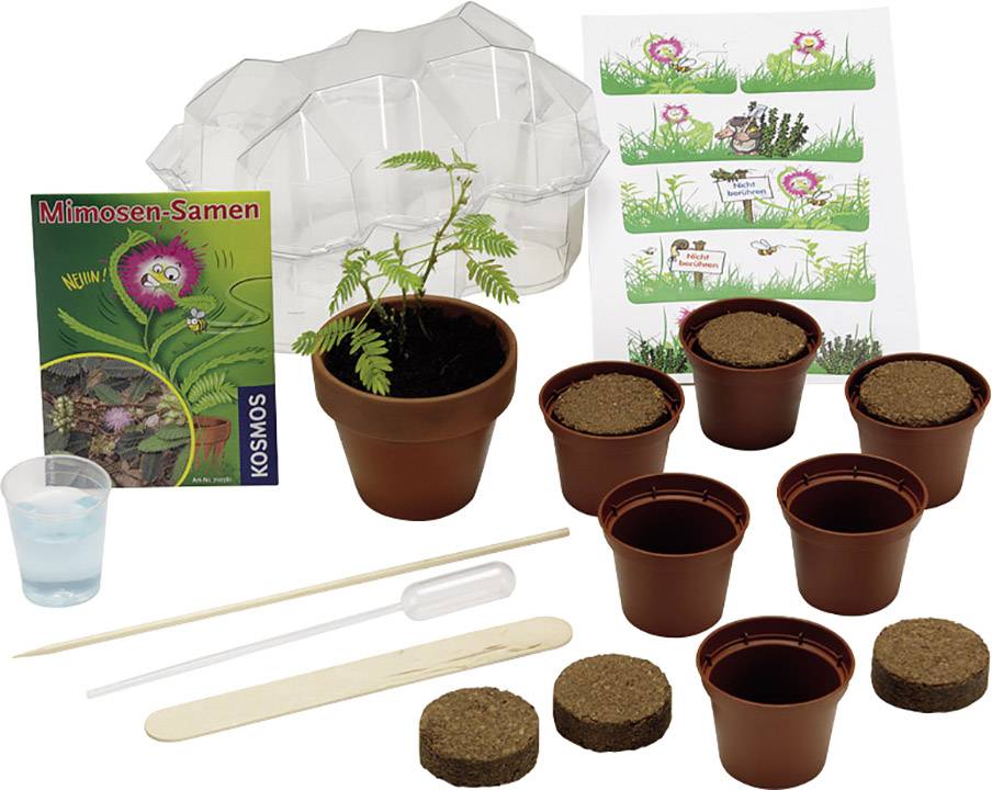 Kosmos 657031 Mitbring-Experimente Mimosen-Garten Experimentierkasten ab 7 Jahre