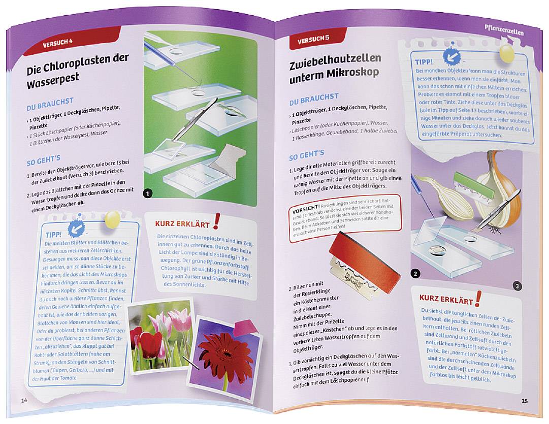 Kosmos Mikroskop für Natur-Entdecker 635213 Experimentierkasten ab 8 Jahre