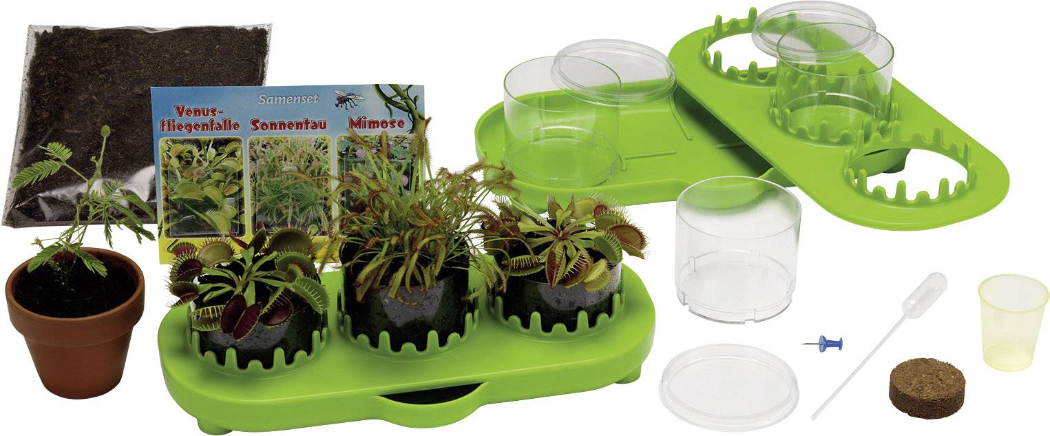 Kosmos 631611 Fleischfressende Pflanze Biologie Experimentierkasten ab 8 Jahre