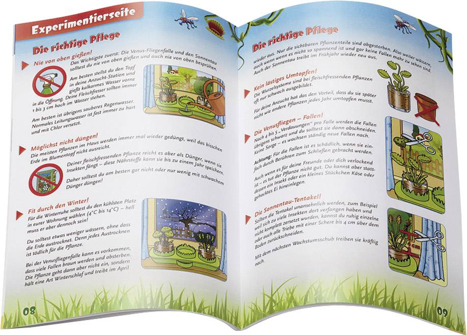 Kosmos 631611 Fleischfressende Pflanze Biologie Experimentierkasten ab 8 Jahre
