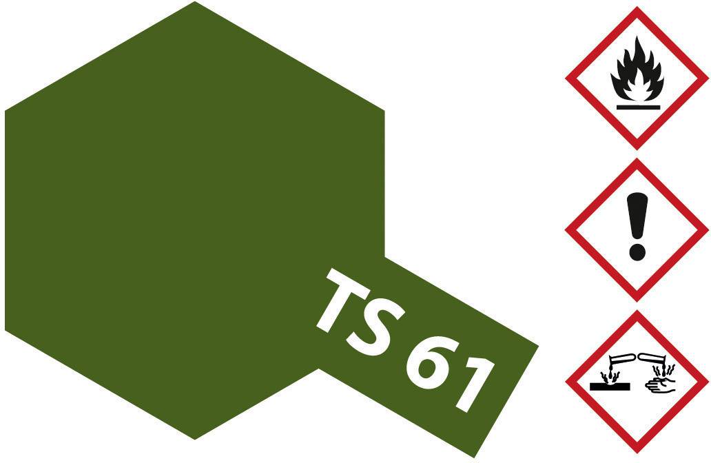 'TS 61' auf grünem sechseckigem Hintergrund. Rechts drei Gefahrensymbole: Flamme (brennbar), Ausrufezeichen (Vorsicht), ätzende Flüssigkeit (ätzend).