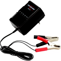 Ansmann Bleiakku-Ladegerät ALCS 2-24 A 2 V, 6 V, 12 V, 24 V Ladestrom (max.) 0.9 A Ansmann Bleiakku-Ladegerät ALCS 2-24 A 2 V, 6 V, 12 V, 24 V Ladestrom (max.) 0.9 A