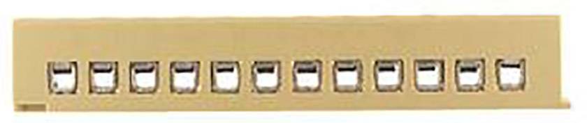 Ein elfenbeinfarbenes Klavier oder Akkordeon mit zwölf weißen und schwarzen Knöpfen oder Tasten in einer Reihe.