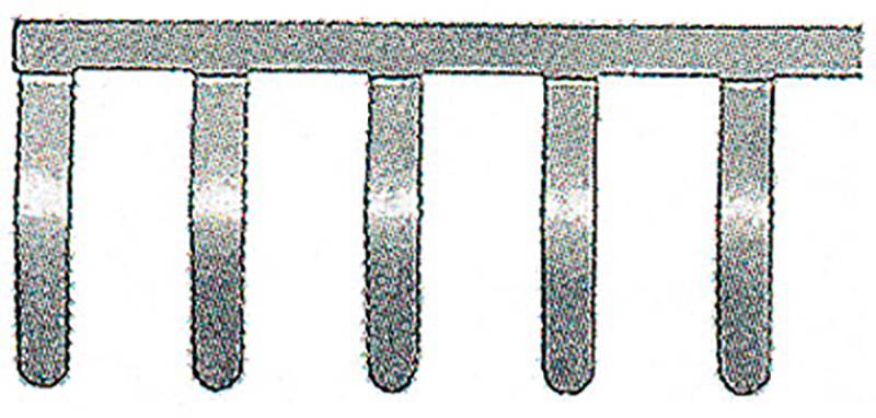 Diagramm eines Fünf-Finger-Truthahn-Knochenklaviers, bei dem die 