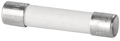 Weidmüller 0546900000 Feinsicherung 0.25 A 250 V 10 St.