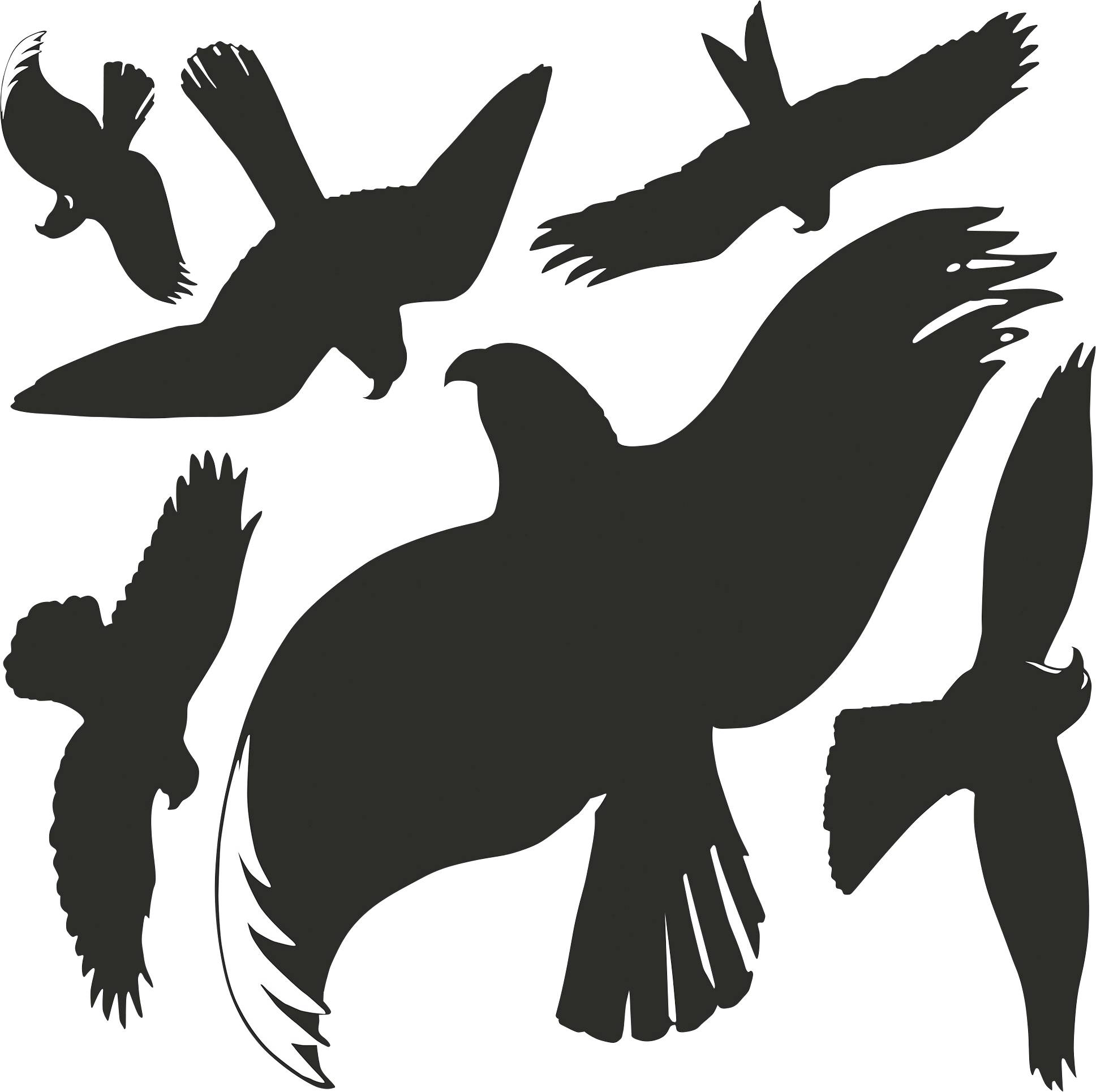 Silhouetten verschiedener Vögel im Flug, die unterschiedliche Flügelpositionen und -formen zeigen, vor einem weißen Hintergrund.