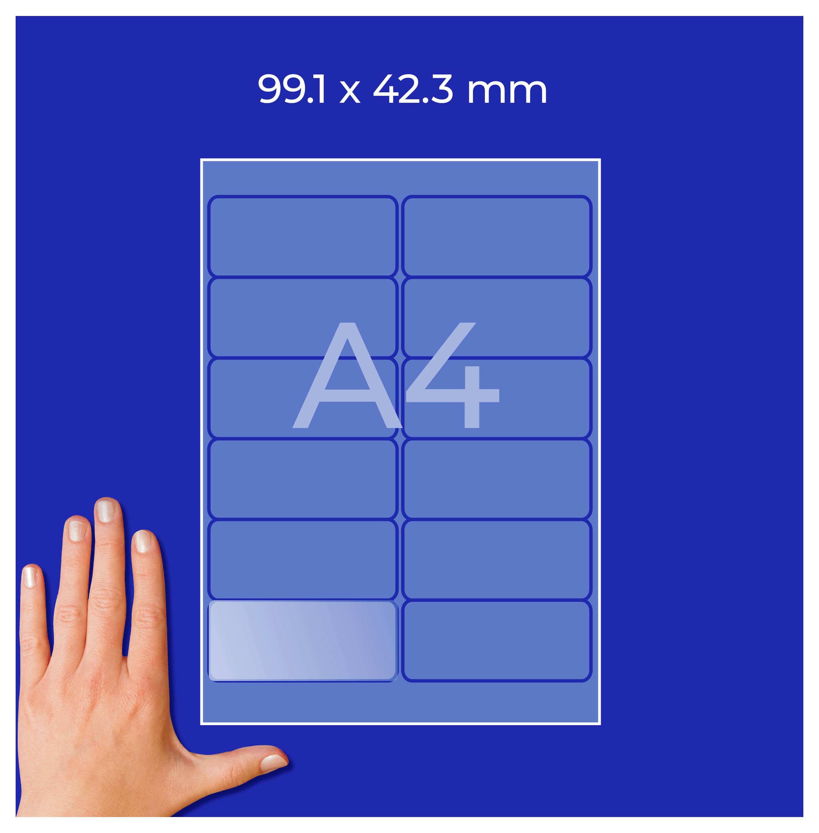 Grafik eines A4-Etiketts mit Maßangabe '99.1 x 42.3 mm'; 10 Etikettenfelder in zwei Spalten, handgroß zur Größenveranschaulichung.
