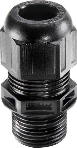 10066502 Kabelverschraubung M20 Polyamid Schwarz (ral 9005) 50 St - Wiska