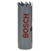 Bosch Accessories 2608584140 Lochsäge 17mm 1St.