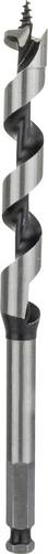 Bosch Accessories 2608585700 Schlangenbohrer 13 mm Gesamtlänge 160 mm Sechskantschaft 1 St.