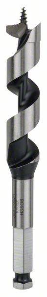 Bosch Accessories 2608585705 Schlangenbohrer 20mm Gesamtlänge 160mm Sechskantschaft 1St.