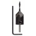 Bosch Accessories 2608595345 Holz-Spiralbohrer 3mm Zylinderschaft 1St. Bosch Accessories 2608595345 Holz-Spiralbohrer 3mm Zylinderschaft 1St.