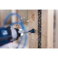 Bosch Accessories 2608595486 Holz-Fräsbohrer 14mm Gesamtlänge 152mm 1/4" (6.3 mm) 1St. Bosch Accessories 2608595486 Holz-Fräsbohrer 14mm Gesamtlänge 152mm 1/4" (6.3 mm) 1St.