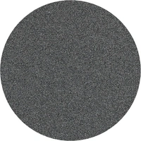 Bosch Accessories 2608606756 Schleifpapier für Schleifteller ungelocht Körnung (num) 80 (Ø) 125mm 10St. Bosch Accessories 2608606756 Schleifpapier für Schleifteller ungelocht Körnung (num) 80 (Ø) 125mm 10St.