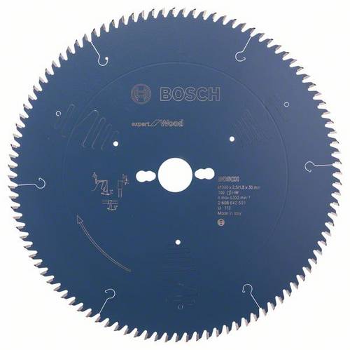 Bosch Accessories Expert for Wood 2608642501 Kreissägeblatt 300 x 30 x 2.5 mm Zähneanzahl: 100 1 St