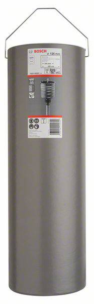 Silberner Boiler von Bosch, zylindrisch, mit Griff oben und mehrsprachigem Etikett; Modell und technische Details sichtbar.