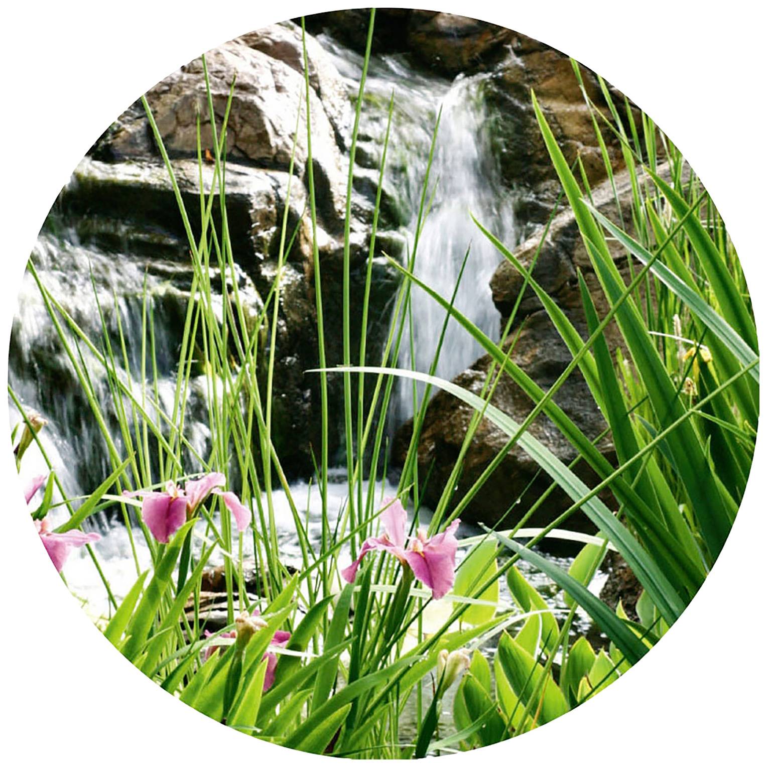 FIAP 2721 Aqua Active Magic 18.000 Poolpumpe 18000 l/h 11m