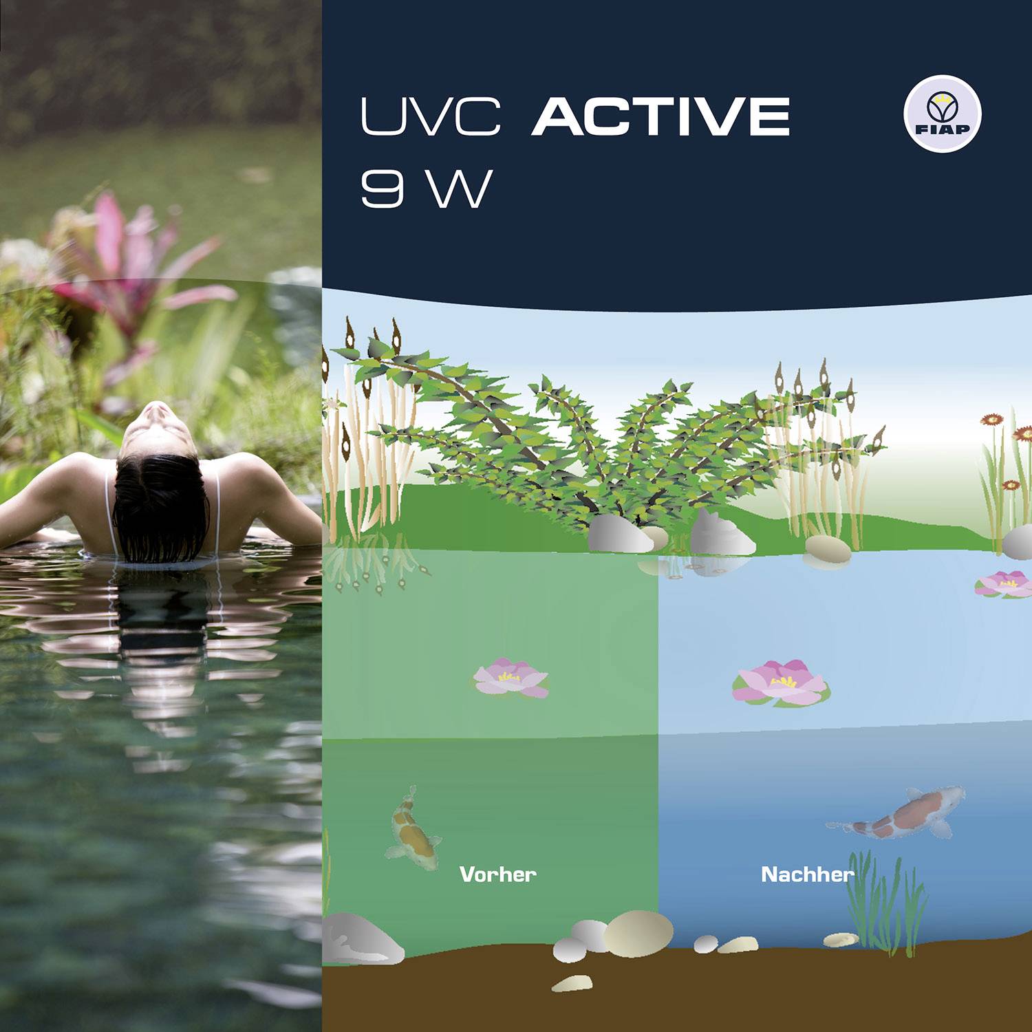 Sonnenbaden im Wasser links, UVC-Behandlung für Teiche mit Vorher-Nachher-Vergleich rechts. Cleaner Teich mit klarerem Wasser nach Behandlung.