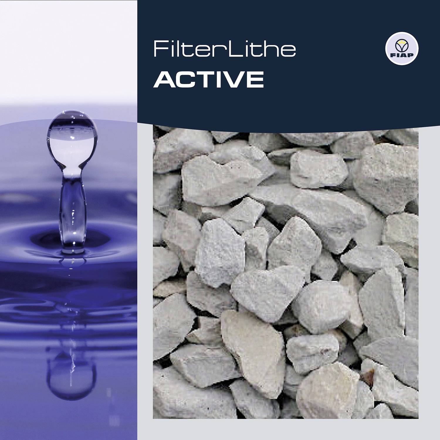 FIAP 2806 Algenbekämpfung 10l