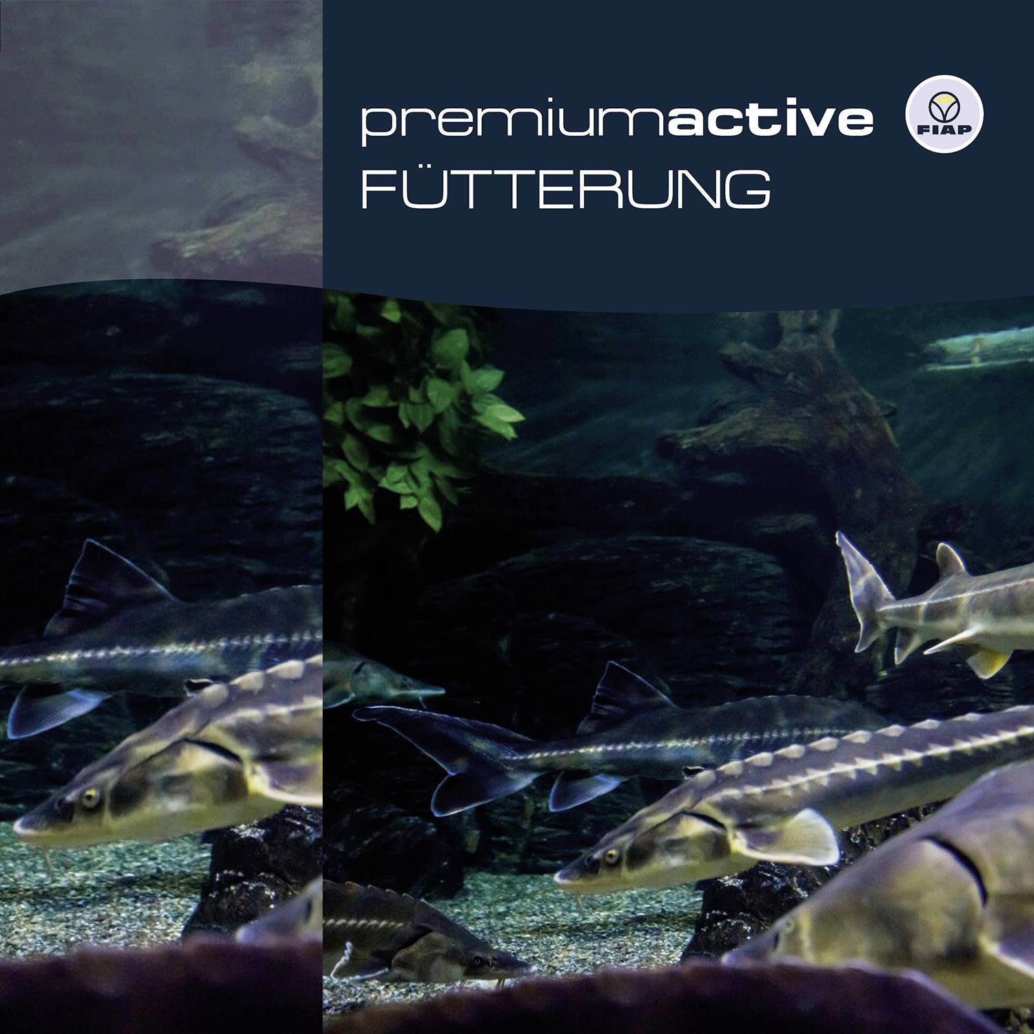 FIAP 3983 premiumactive STURGEON 3mm Fischfutter 2000g