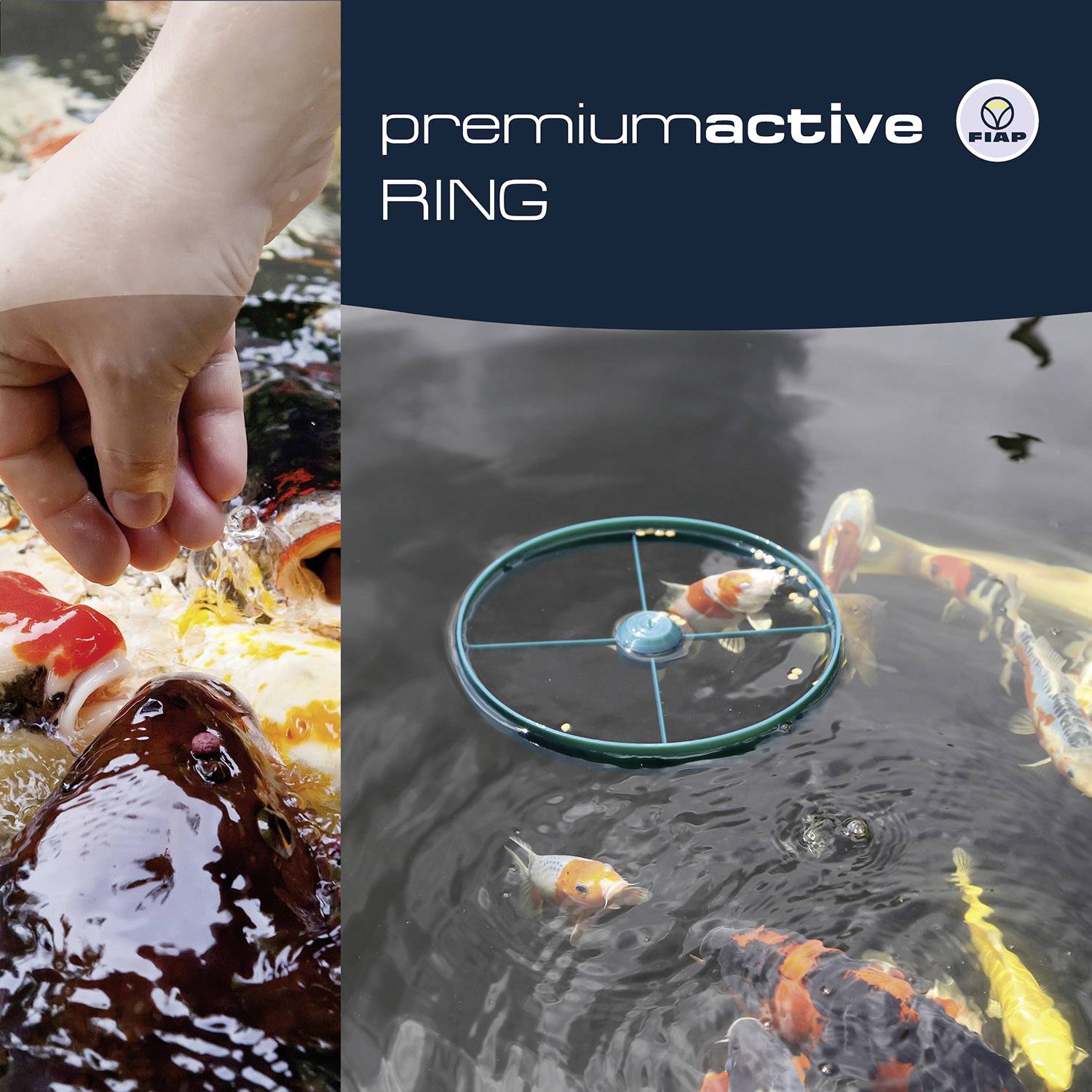Ein Fischteich, in den Fische nach Futter schnappen, mit einer Hand, die Futter ins Wasser gibt. Links oben steht 'premiumactive RING'.