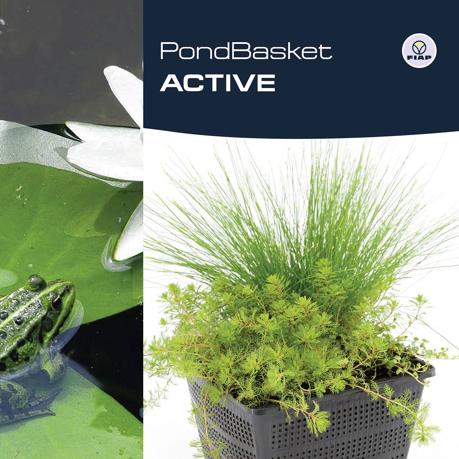 'PondBasket ACTIVE' steht auf der rechten Seite; links ein Frosch im Wasser. Ein Topf mit Pflanzen rechts vermittelt Gartenzubehör.