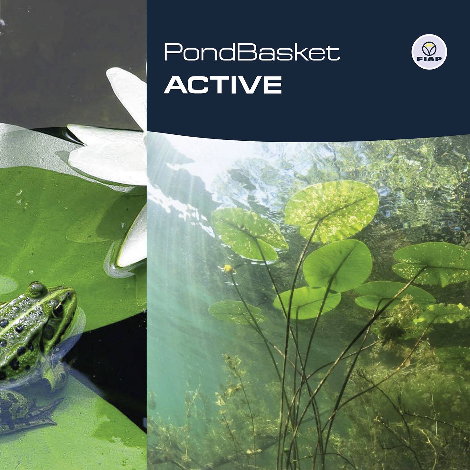 'PondBasket ACTIVE' Verpackung: Darstellung eines Teichs mit Seerosen und einer am Ufer sitzenden Froschfigur.