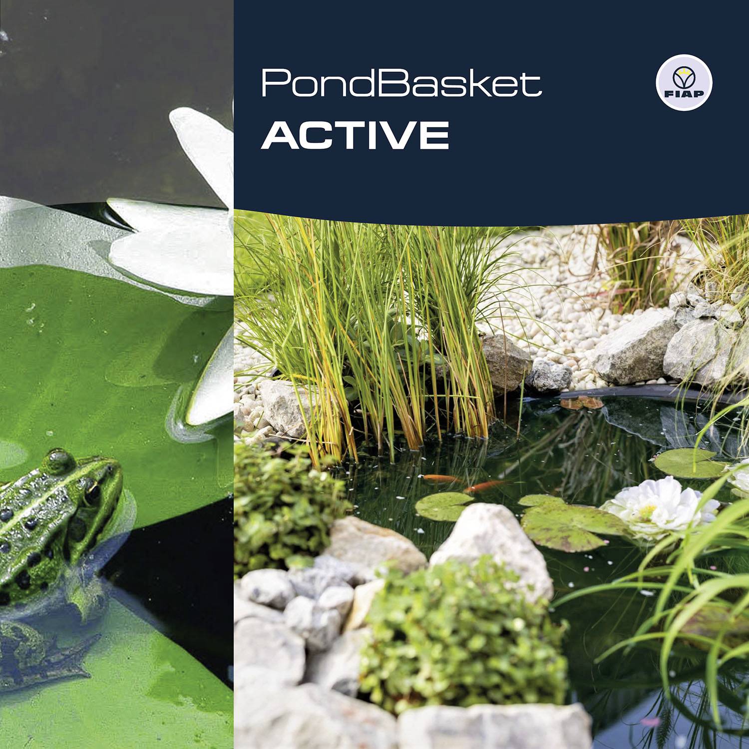 'PondBasket ACTIVE' Produktverpackung zeigt eine grüne Wasserfläche mit einem Frosch links und einen gepflegten Teichbereich rechts.