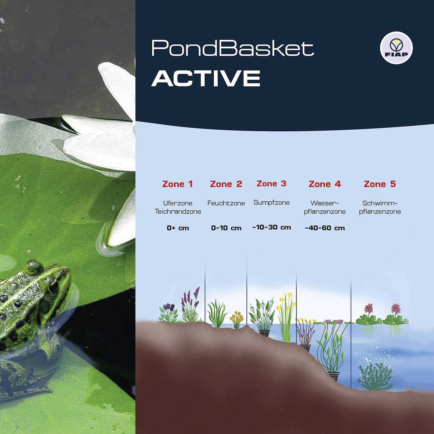 'PondBasket ACTIVE': Grafik zeigt eine Frosch- und Pflanzenillustration in verschiedenen Teichzonen von 0 bis 60 cm Tiefe mit Skizzen der Vegetation.