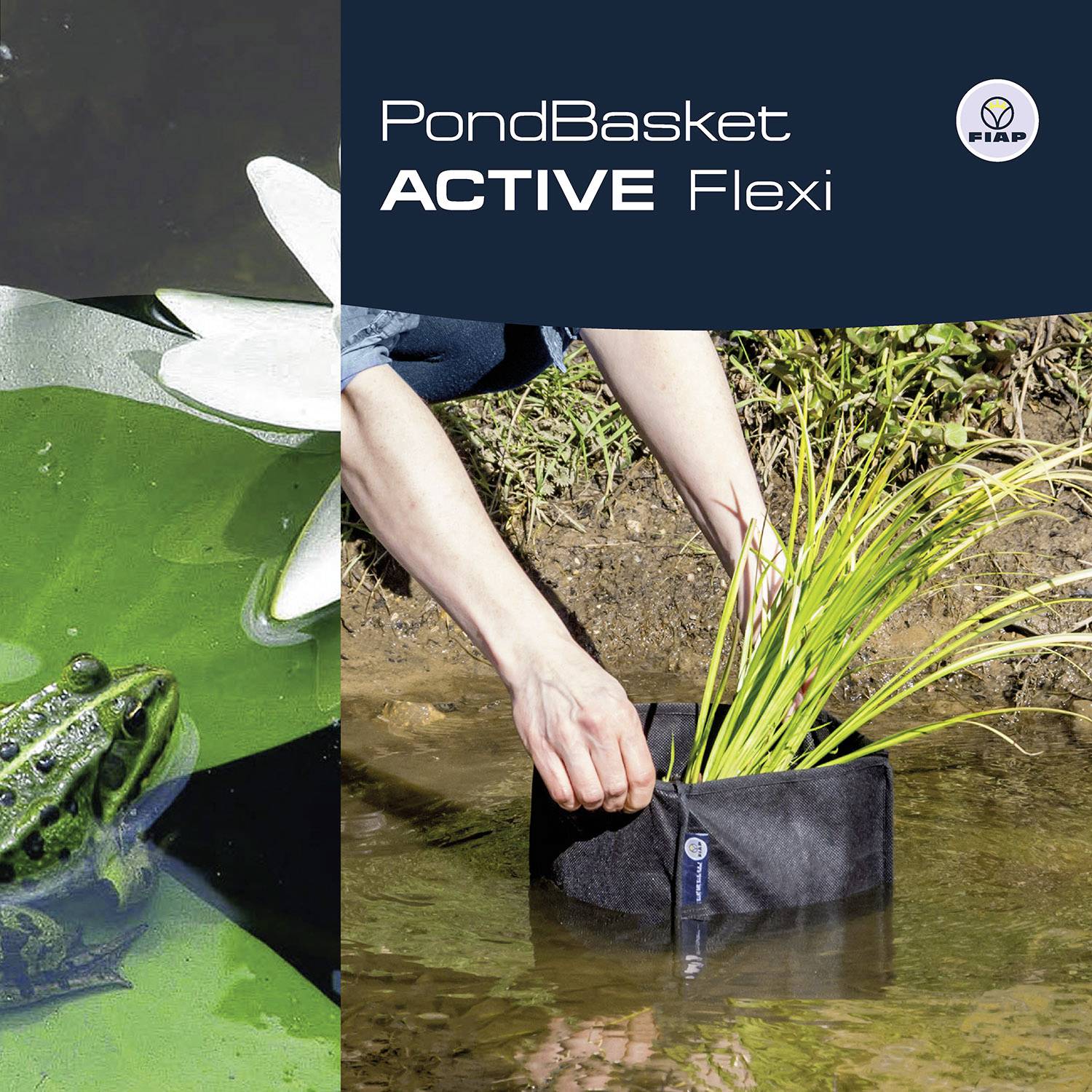 Person pflanzt Schilf in flexiblen Pflanzkorb am Teichrand. Ein Frosch sitzt im Wasser. Text: 'PondBasket ACTIVE Flexi'.