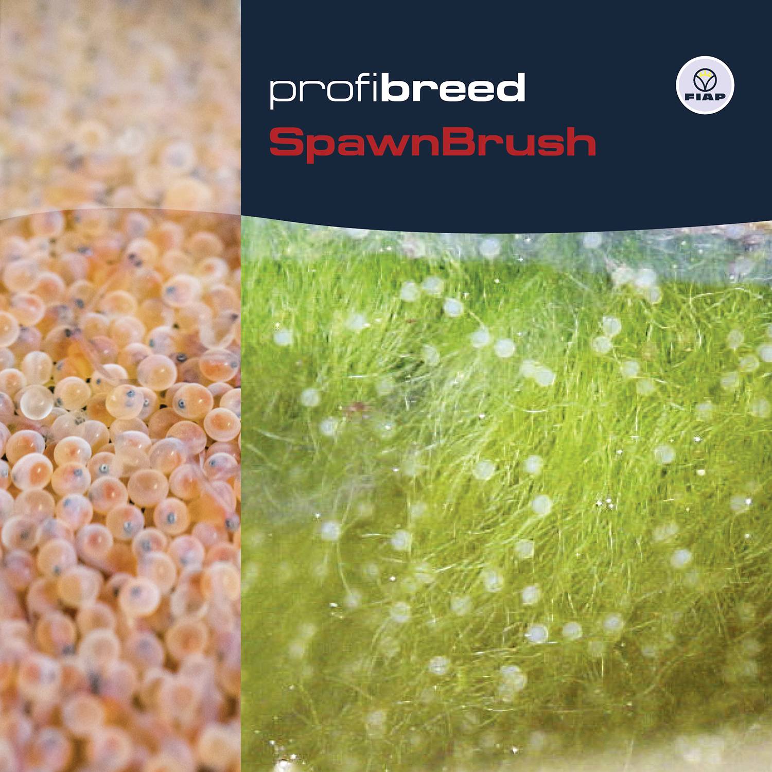 Laich- und Pflanzendekor in einem Aquarium, links orange Eier, rechts grünes Pflanzengestrüpp. Oben der Text 'profibreed SpawnBrush'.