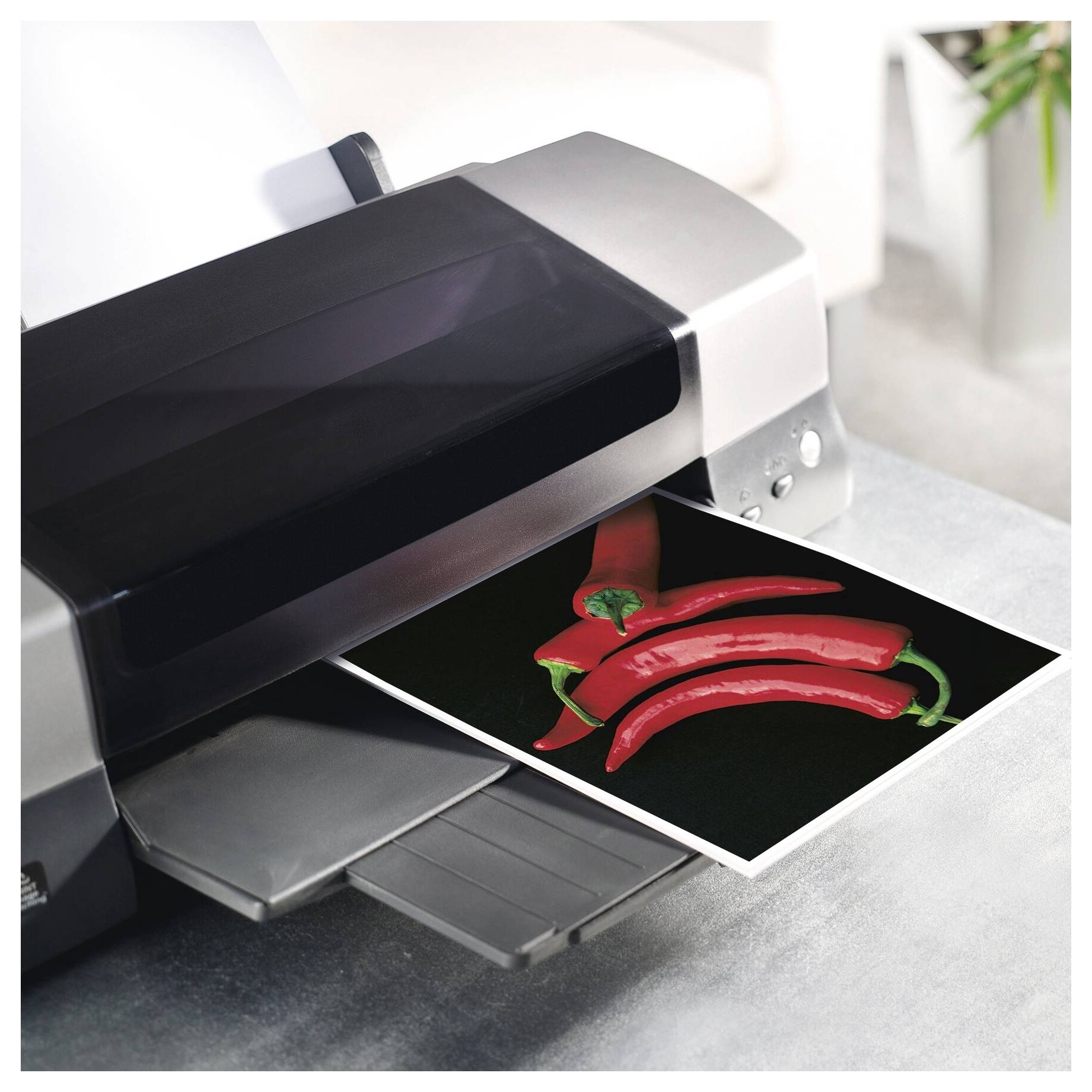 Foto eines Druckers, der ein Bild von roten Chilischoten auf Glanzpapier druckt.
