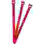 FASTECH® ETK-3-250-1339 Klettkabelbinder zum Bündeln Haft- und Flauschteil (L x B) 250mm x 13mm Rot