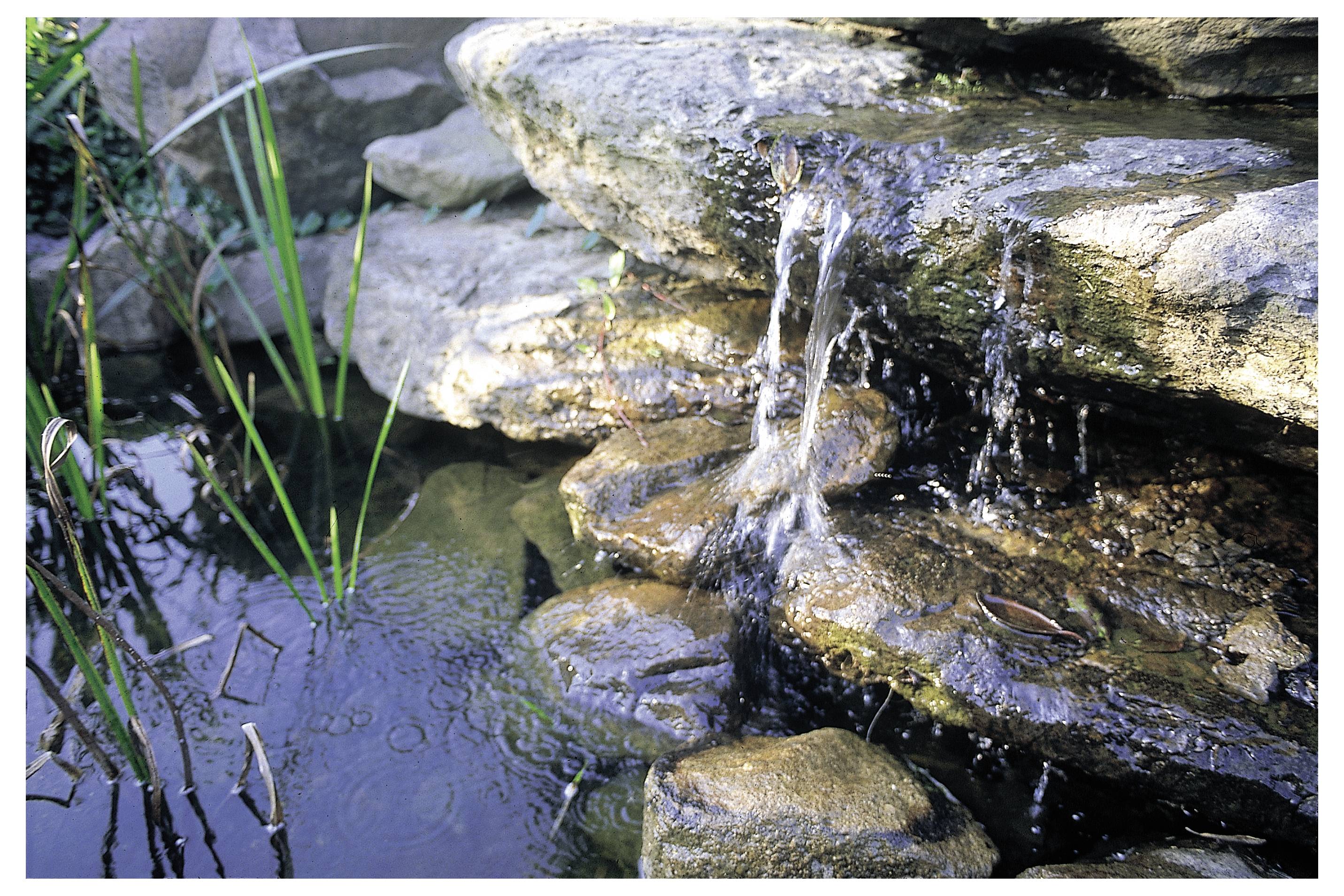 Ein kleiner Wasserfall fließt über geschichtete Felsen in einen klaren Teich, umgeben von grünen Pflanzen.