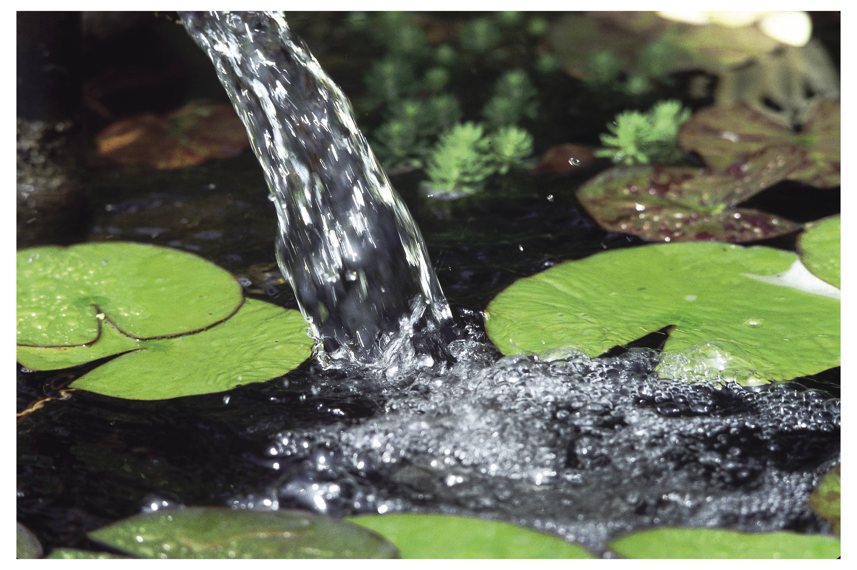 Ein Wasserstrahl spritzt in einen Teich, umgeben von grünen Seerosenblättern und kleinen Pflanzen, und erzeugt Wellen auf der Wasseroberfläche.