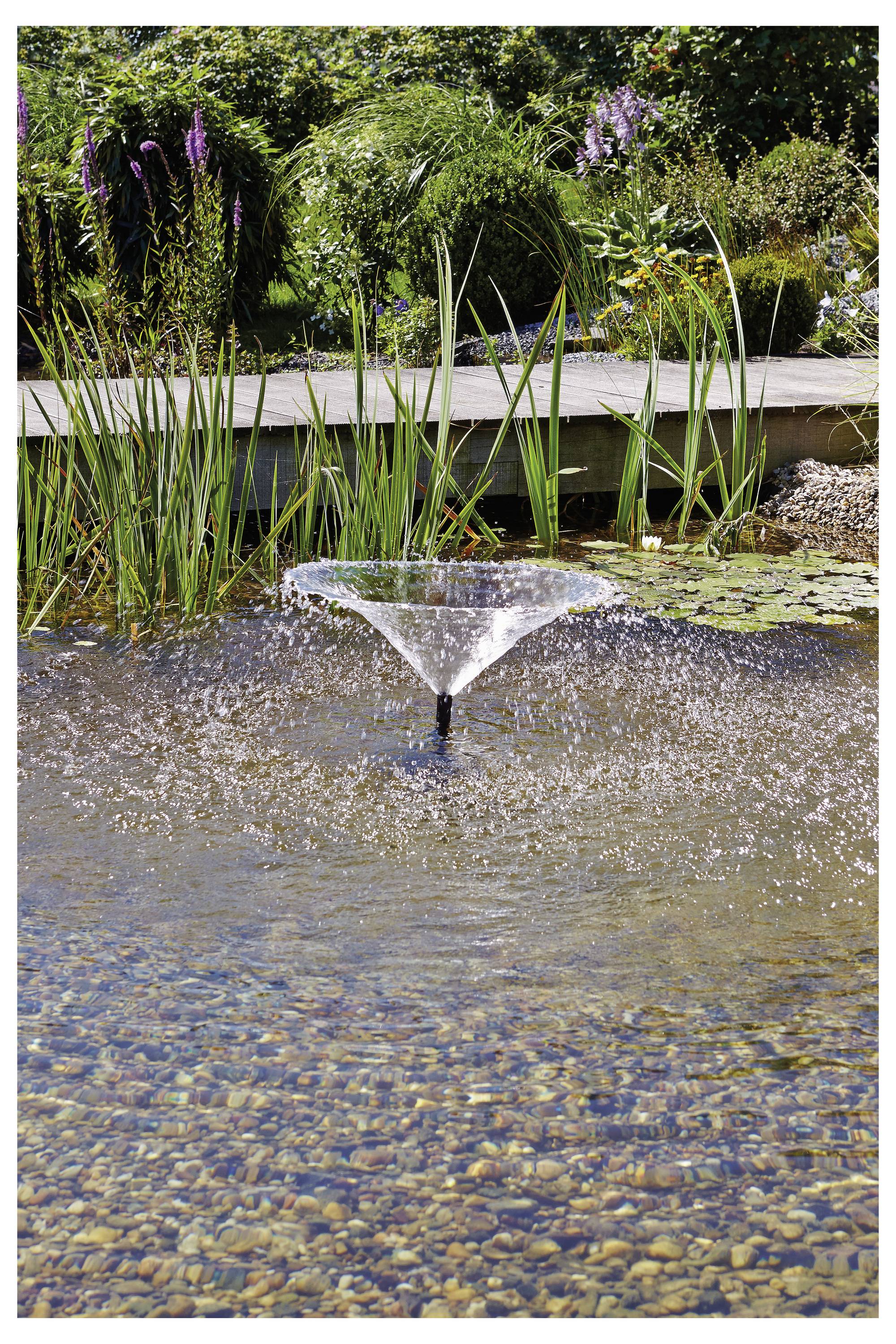 Ein kleiner Gartentümpel mit einer zentralen Wasserfontäne, die Wasser nach oben sprüht, umgeben von Schilf und üppiger Vegetation im Hintergrund.