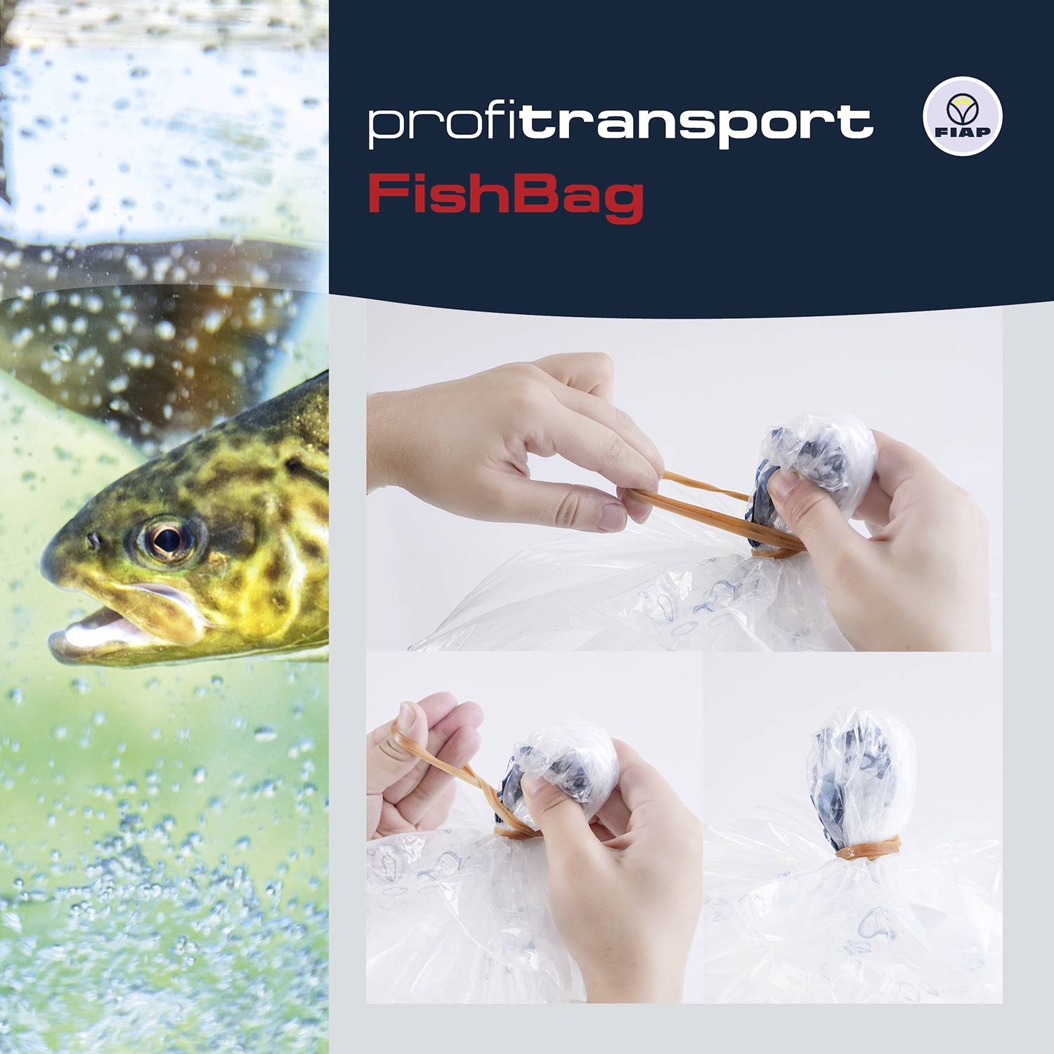'Profitransport FishBag' zeigt Hände, die einen Beutel mit elastischem Band verschließen; Symbol für sicheren Fischtransport.