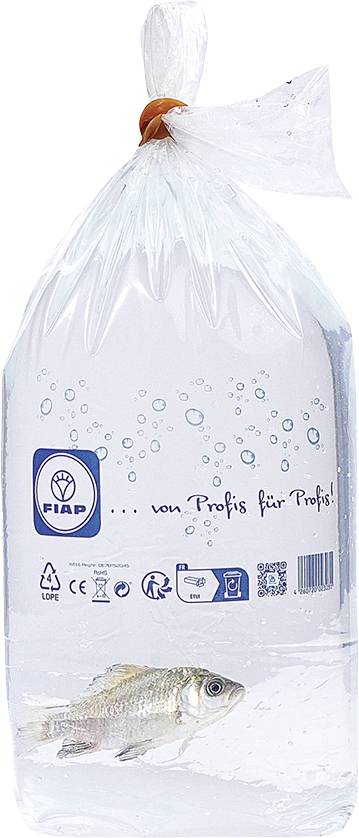 Ein Fisch schwimmt in einem durchsichtigen Plastikbeutel mit Wasser. Auf dem Beutel sind das FIAP-Logo und Symbole abgebildet.