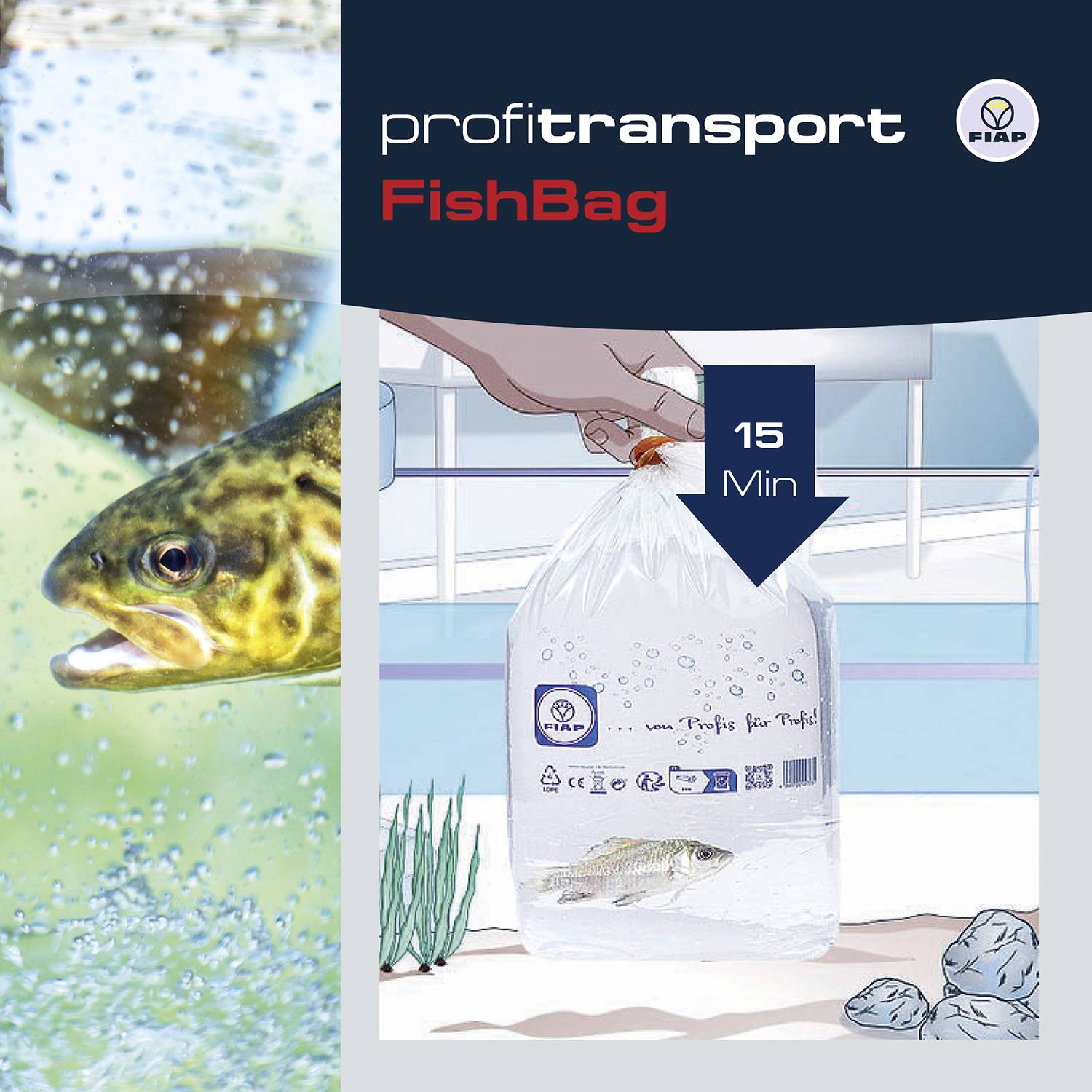 'Ein Fisch wird in einem transparenten Beutel mit Wasser transportiert. Auf dem Beutel steht 'FishBag' und eine Uhr zeigt '15 Min'.'