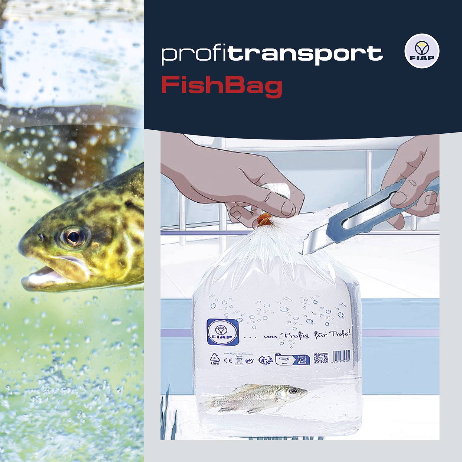 Illustration zeigt Transportlösung FishBag: Ein Fisch in einem Wasserbeutel wird sicher mit einem Kabelbinder verschlossen.