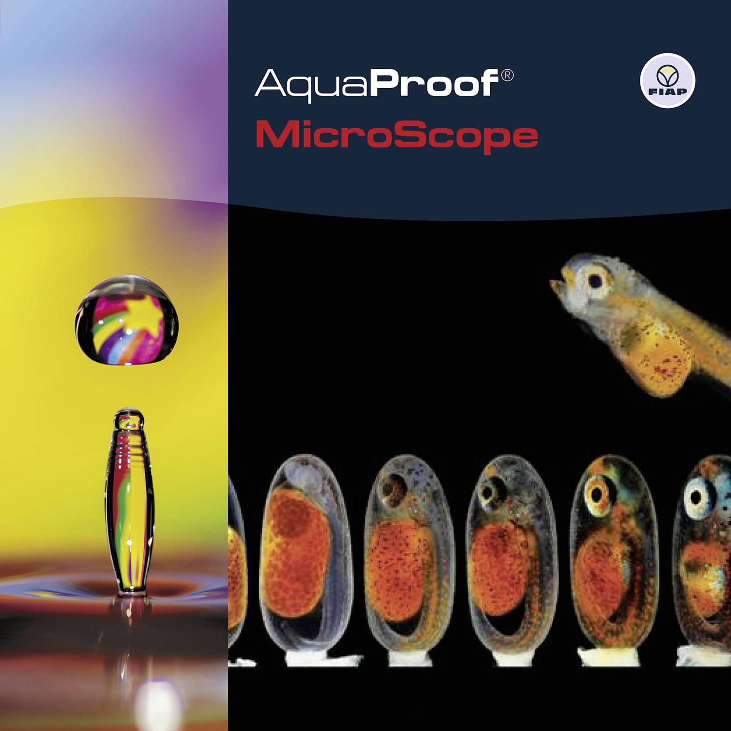 Zwei Bilder nebeneinander: links ein mikroskopischer Flüssigkeitseffekt, rechts eine Reihe von Fischembryos in verschiedenen Entwicklungsstadien.