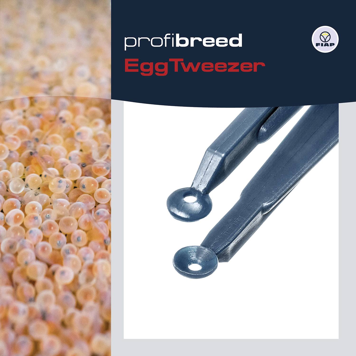 FIAP 1401 Fisch-Eierpinzette (L x B x H) 200 x 15 x 20mm
