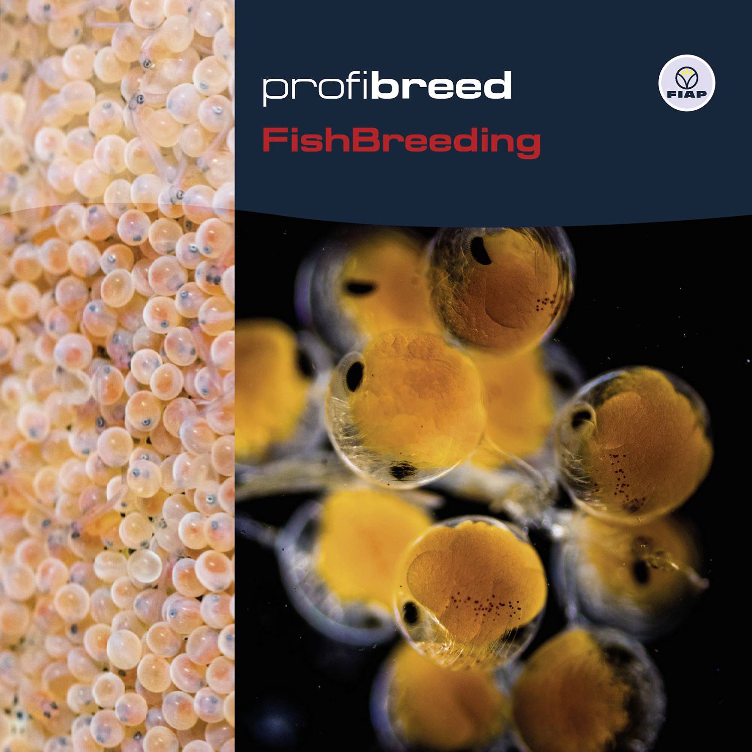 'profibreed Fish Breeding' steht oben; rechts sind viele Fisch-Eier in verschiedenen Entwicklungsstadien zu sehen.