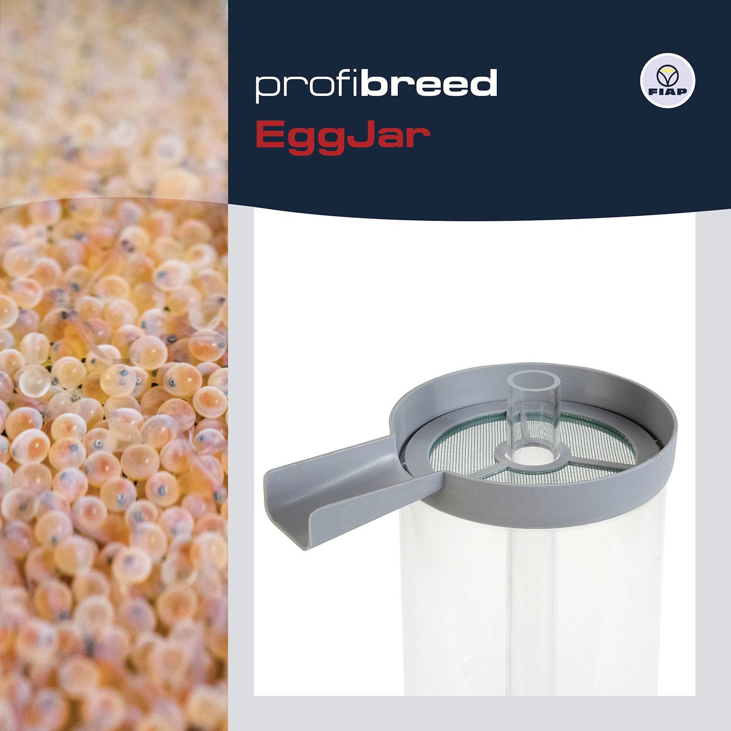 Fischlaich neben einem Behälter für Ei-Inkubation von 'profibreed' namens EggJar. Markenlogo oben rechts abgebildet.