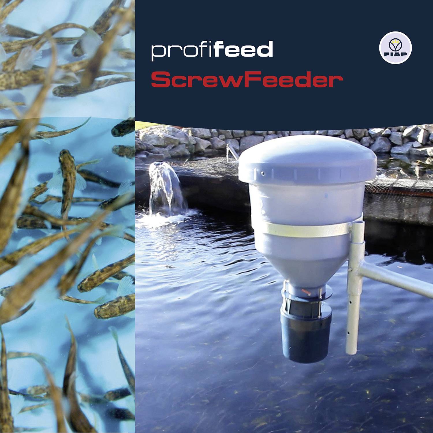 'ProfiFeed ScrewFeeder' und FIAP-Logo. Links schwimmende Fische in blauem Wasser, rechts ein automatischer Futterspender über einem Teich.